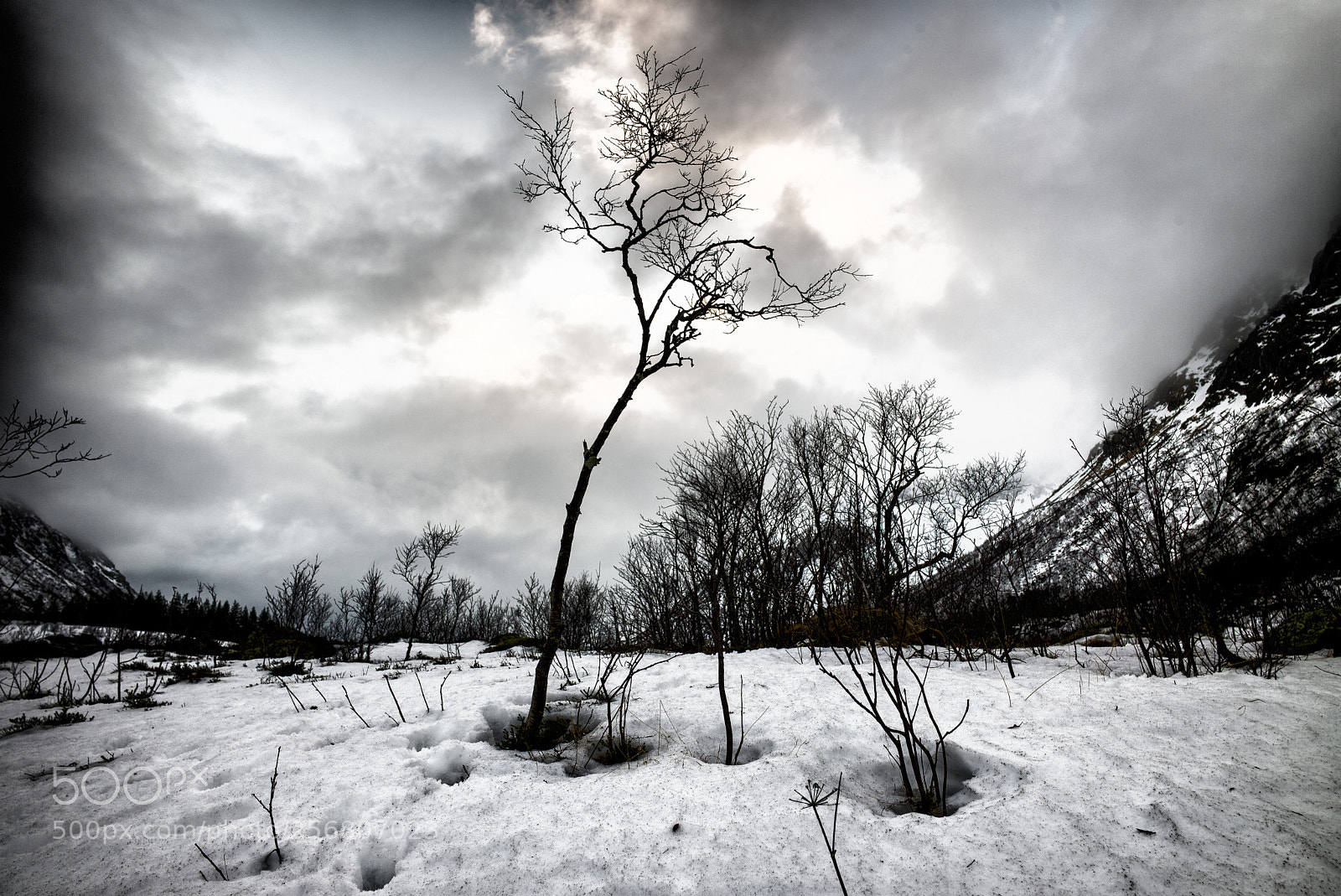 Leica M (Typ 240) sample photo. Winter at lofoten photography