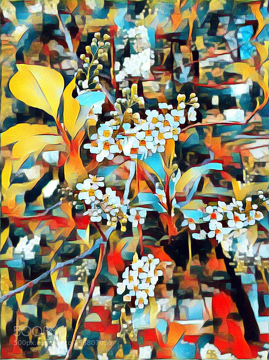 Samsung Galaxy S7 sample photo. Digital art photography