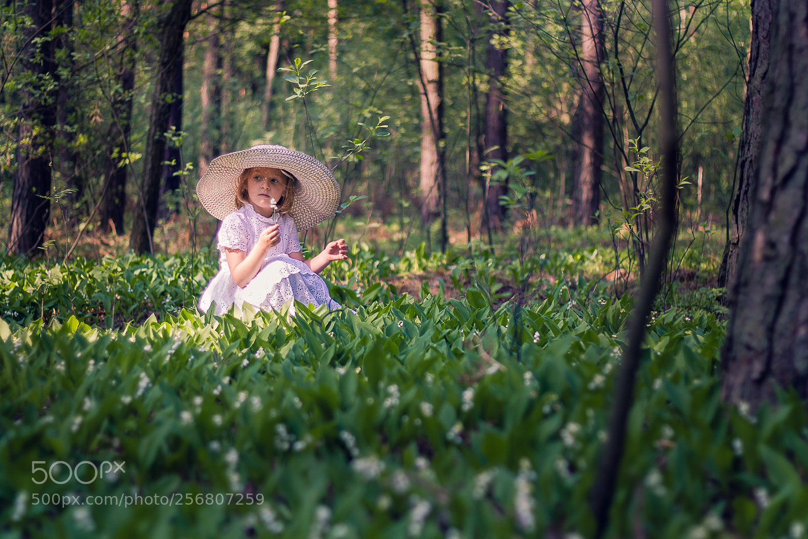 Canon EOS 550D (EOS Rebel T2i / EOS Kiss X4) sample photo. Lily of the valley photography