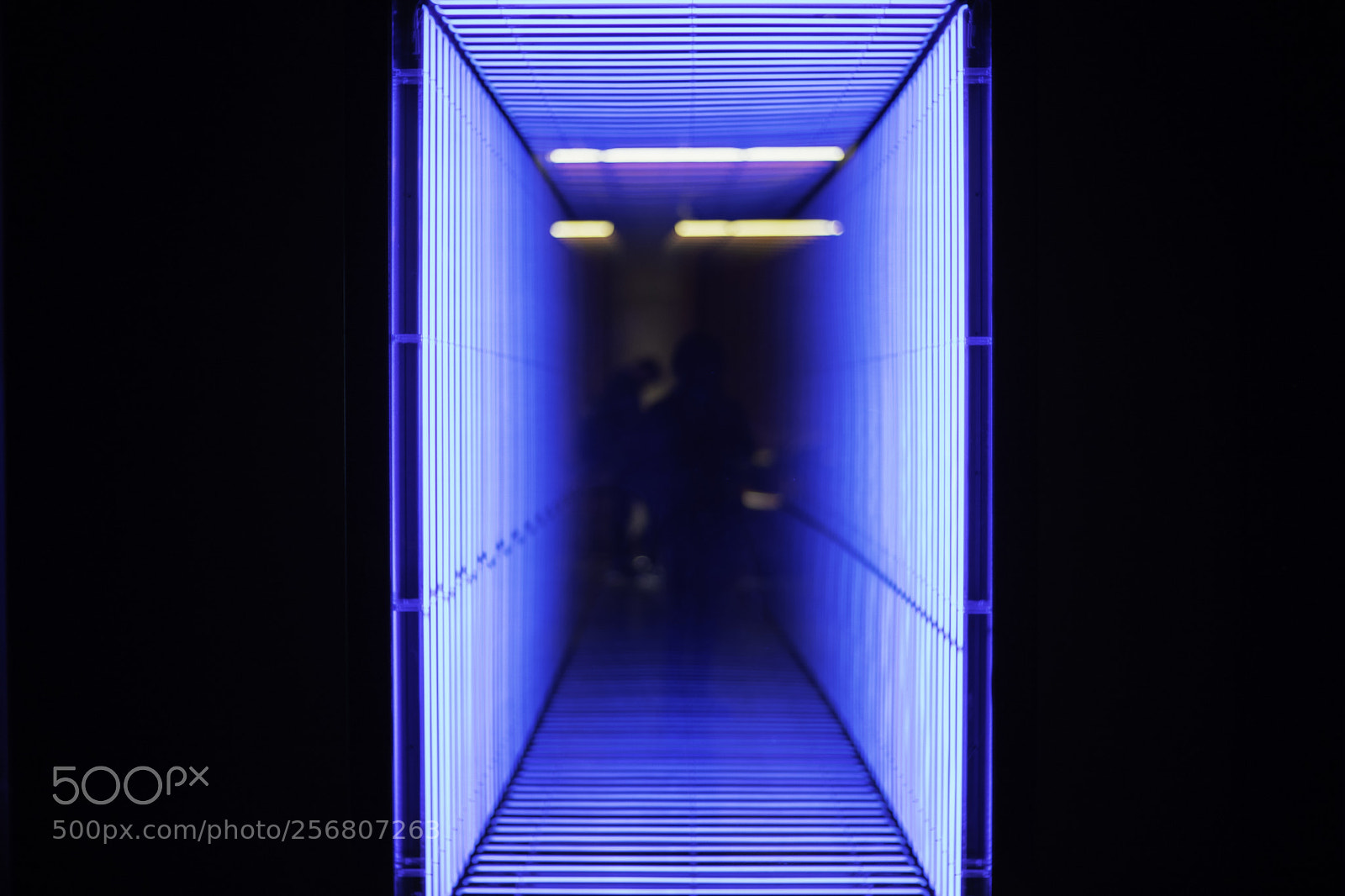 Sony a9 sample photo. The portal. photography