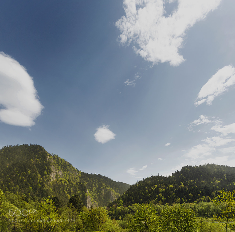 Nikon D810 sample photo. Xlvii photography