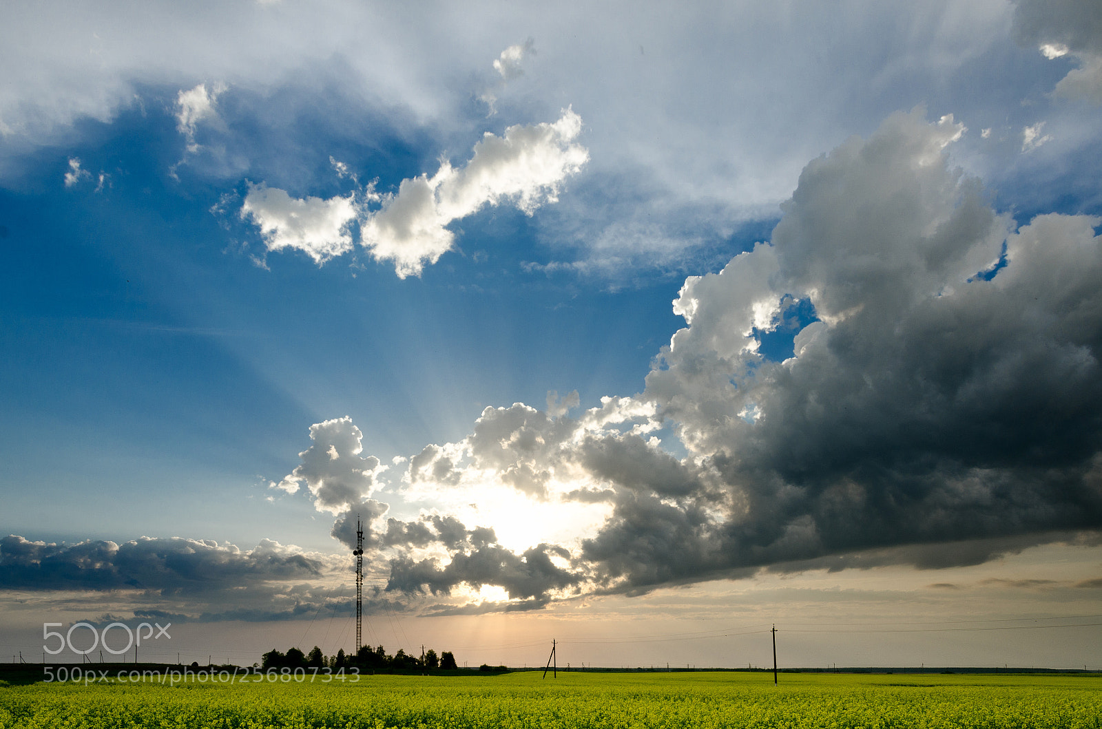 Nikon D7000 sample photo. Закат в Беларуси близ Кричева photography