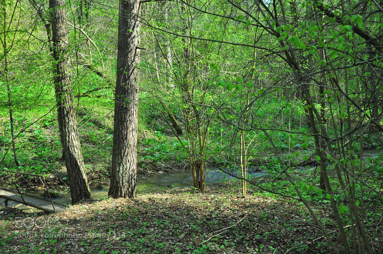 Nikon D90 sample photo. Бежит ручей photography