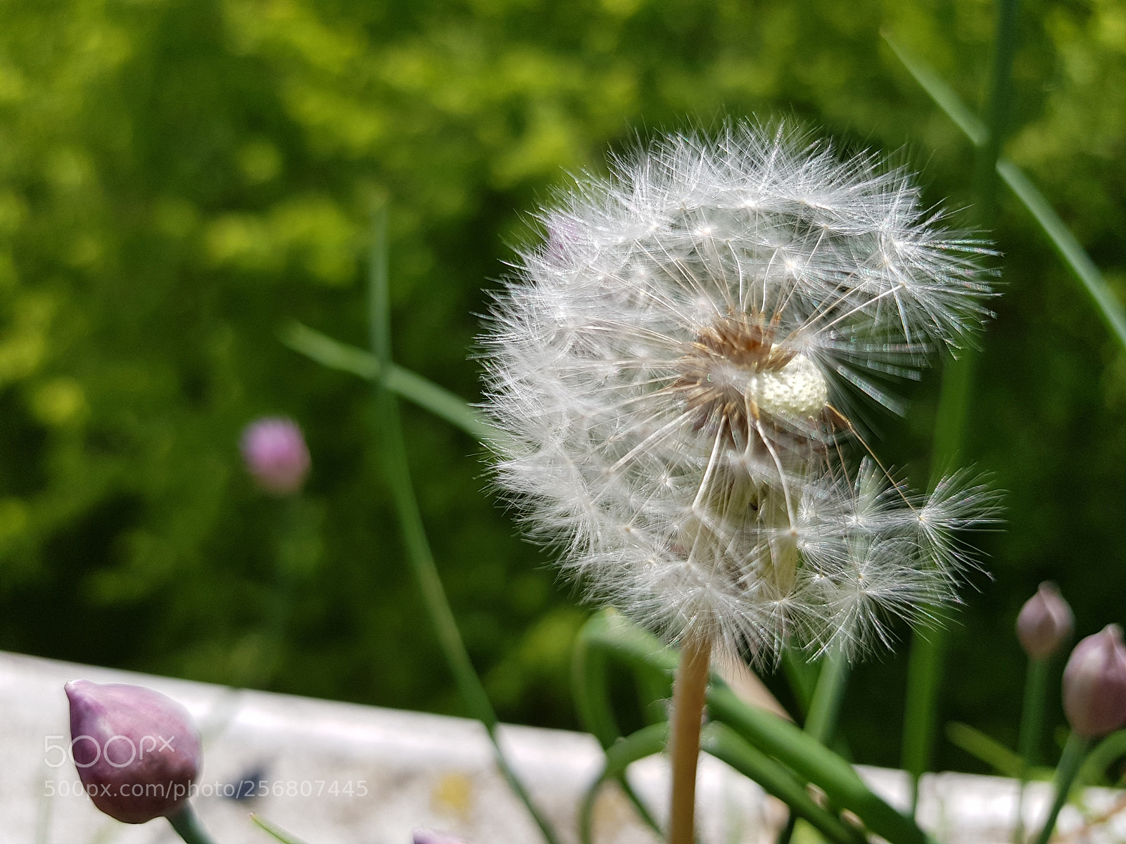 Samsung Galaxy S8 sample photo. 3/4 photography