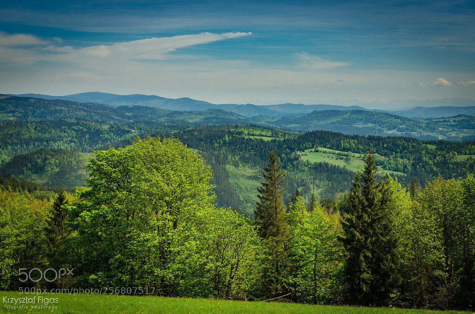 Nikon D5100 sample photo. Beskid's spring photography