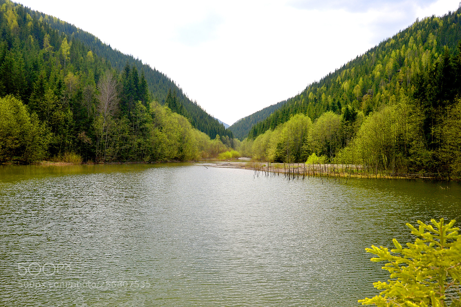 Nikon D3100 sample photo. Lake photography