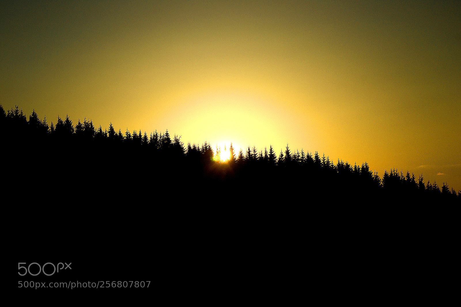 Nikon D3100 sample photo. Sunset photography