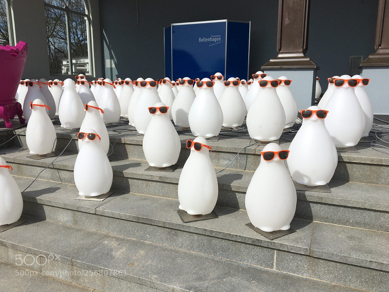 Apple iPhone 6s sample photo. Pinguin parade photography