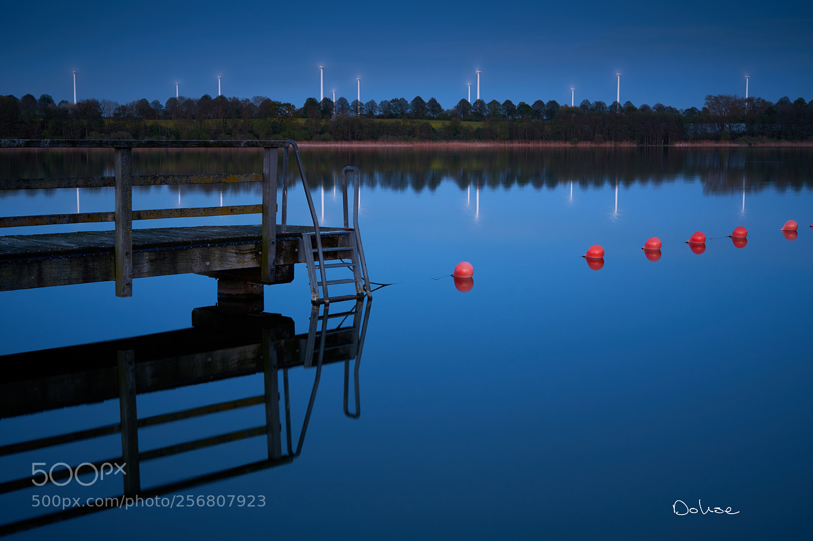 Sony a7 II sample photo. Blue hauers ii photography