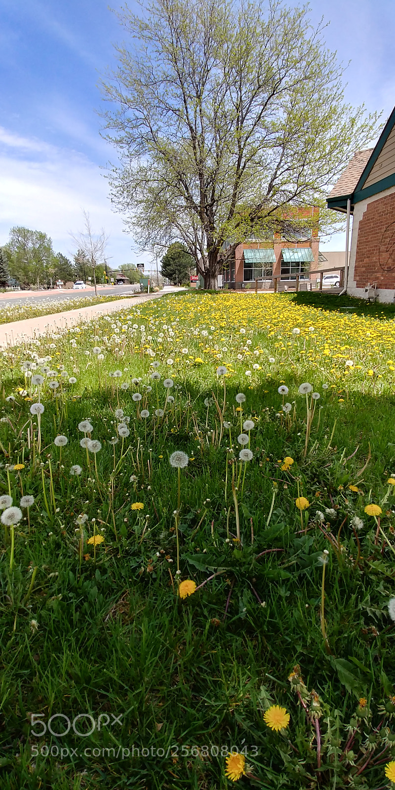 LG G6 sample photo. Super boulder colorado usa photography