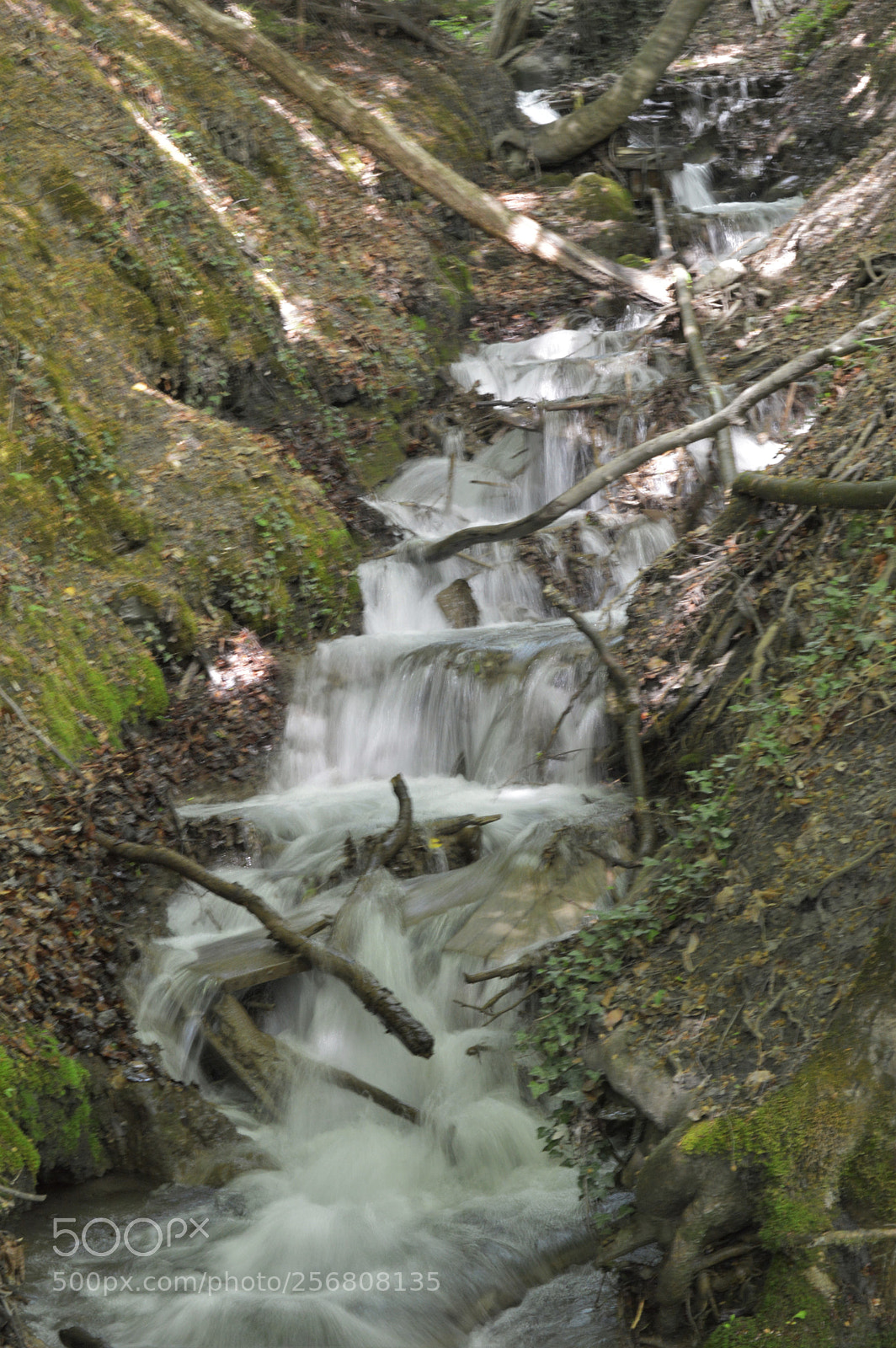 Nikon D3200 sample photo. Untitled photography