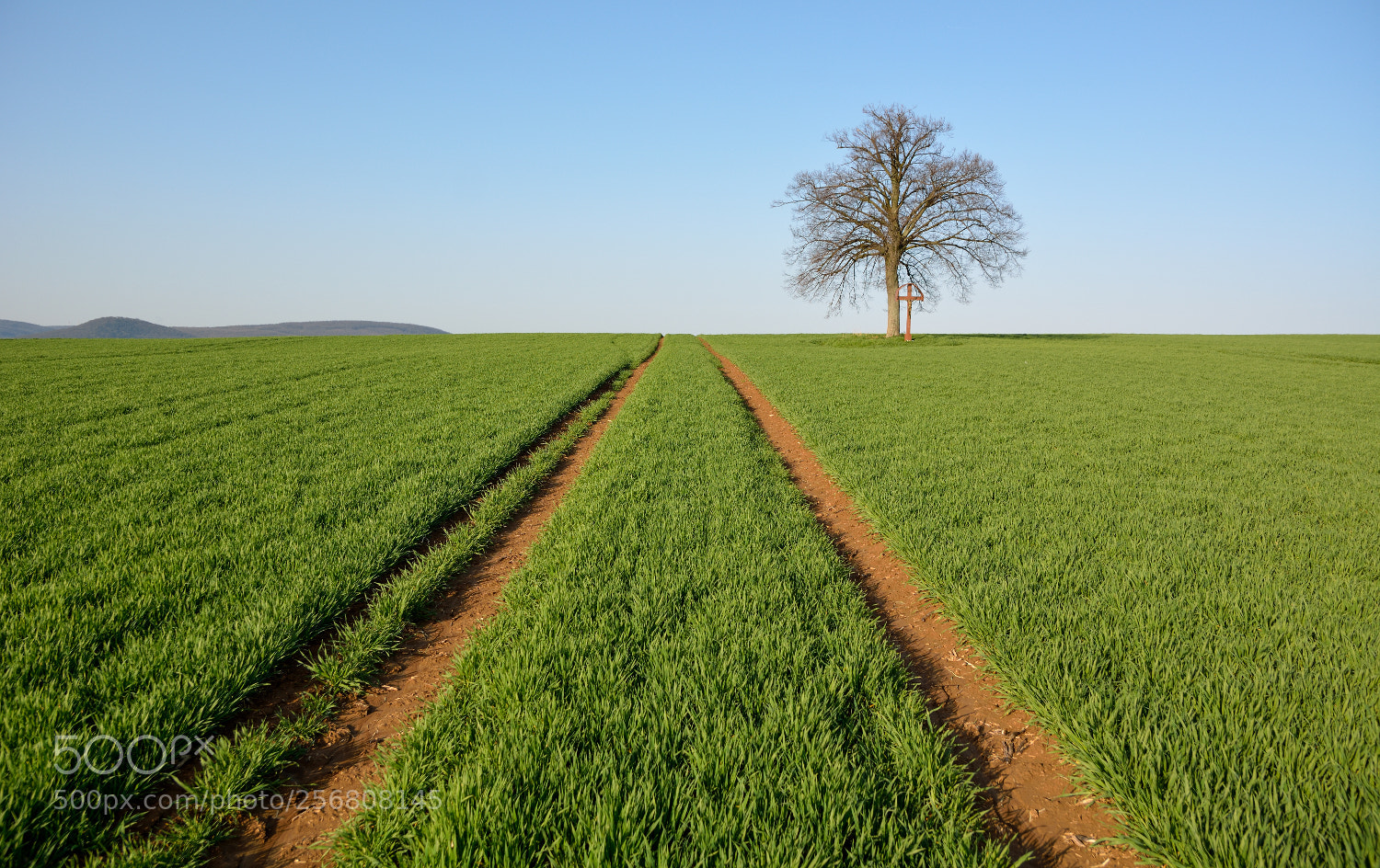 Nikon D7100 sample photo. ... tracks ... photography