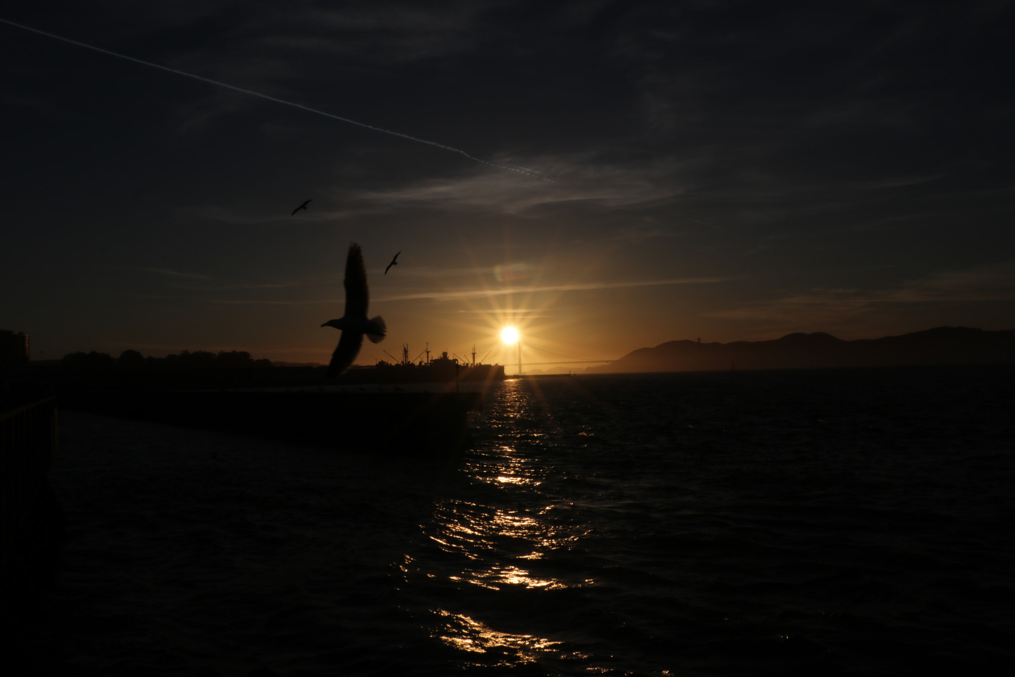 Canon EOS 750D (EOS Rebel T6i / EOS Kiss X8i) sample photo. Pier 39 san francisco photography