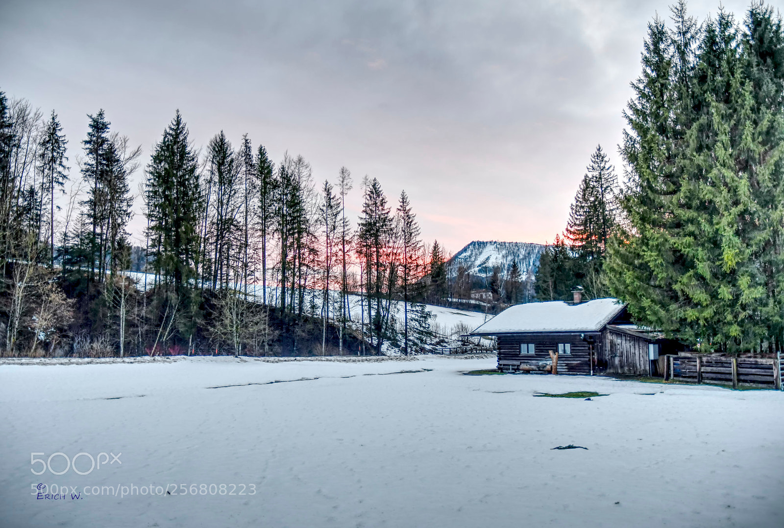 Nikon D500 sample photo. Winterimpressions photography