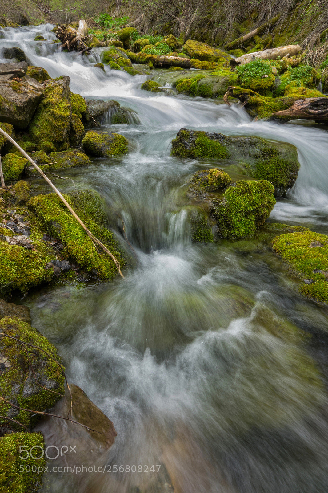 Sony Cyber-shot DSC-RX10 III sample photo. Logan canyon, utah photography