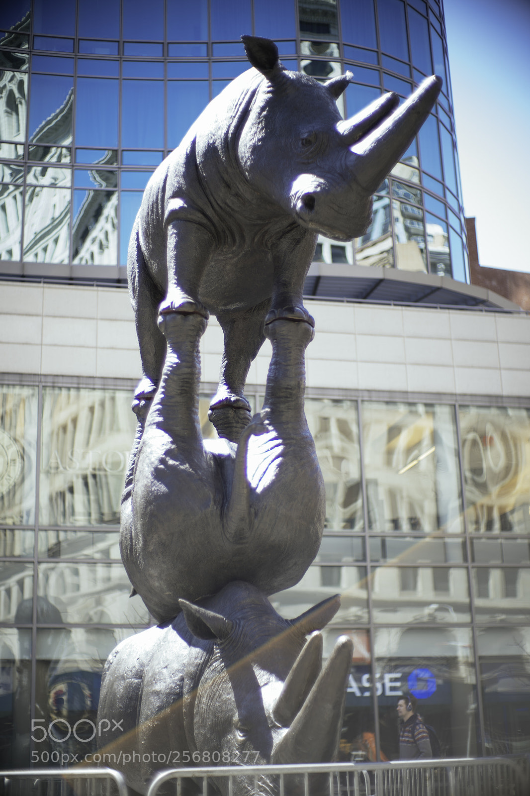 Sony a9 sample photo. A fine balance. photography