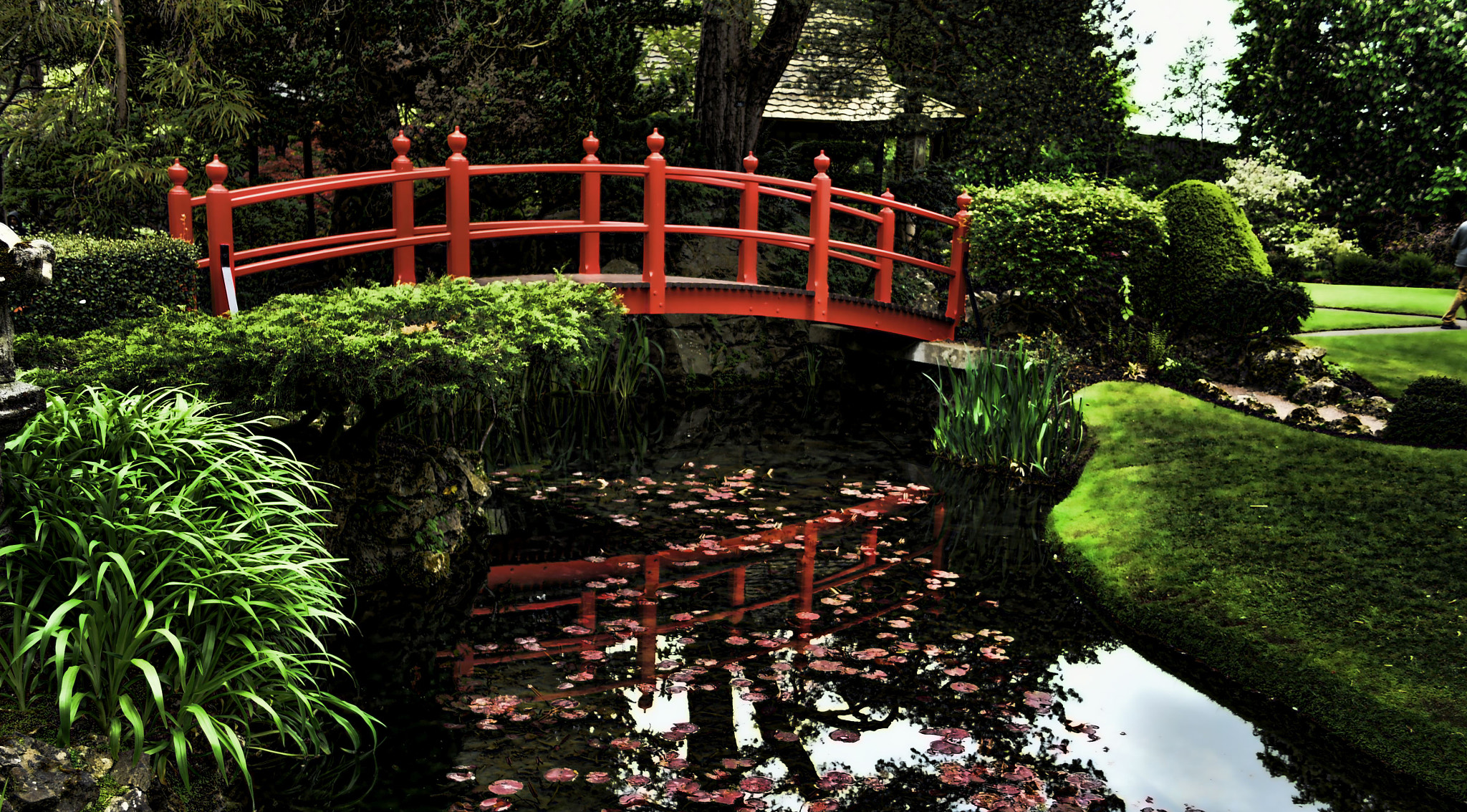 Nikon D810 sample photo. Japanese garden photography