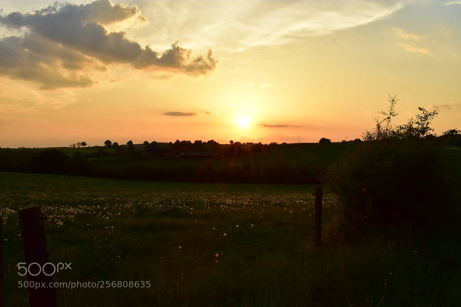 Nikon D3400 sample photo. Untitled photography