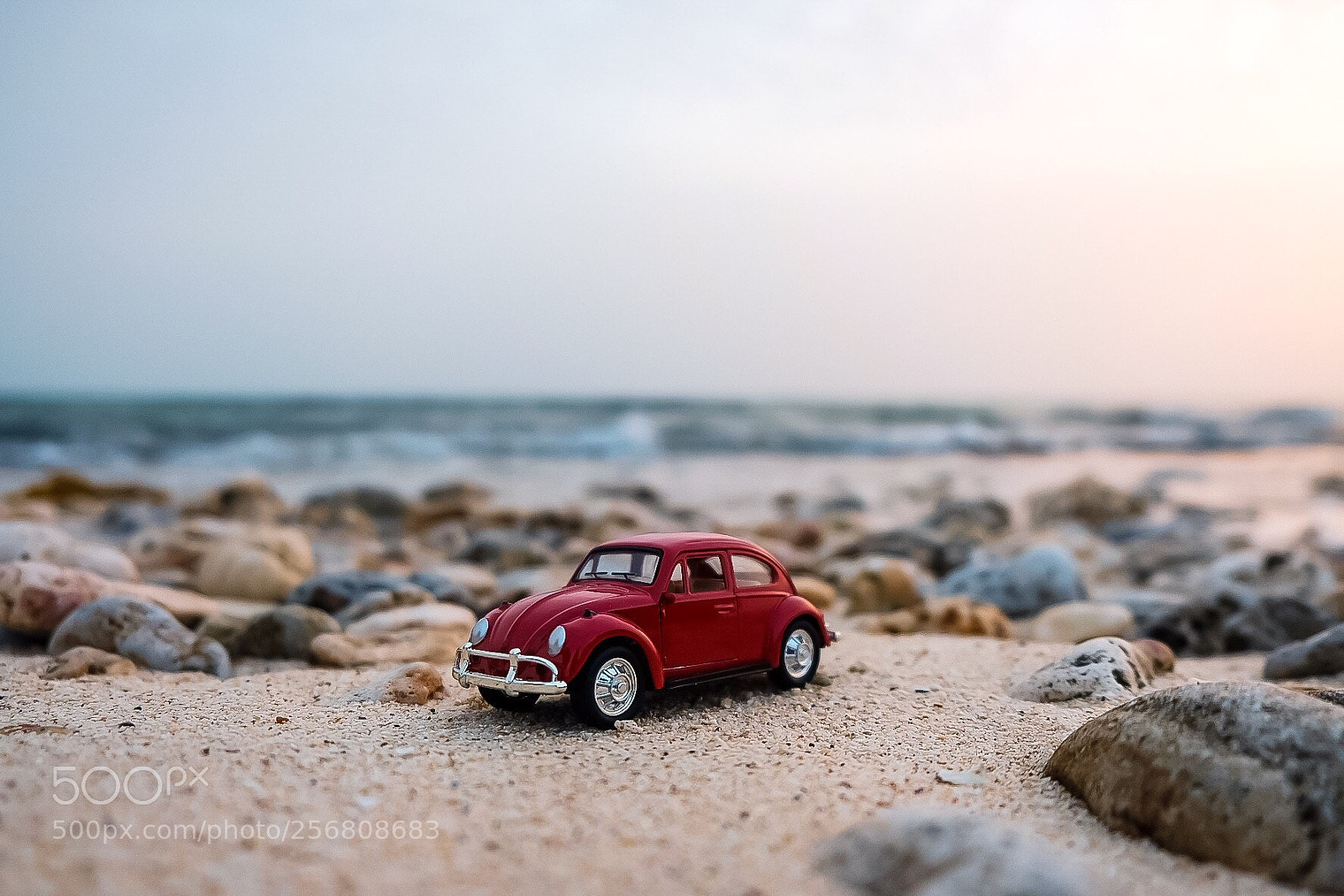 Fujifilm X-T2 sample photo. Untitled photography
