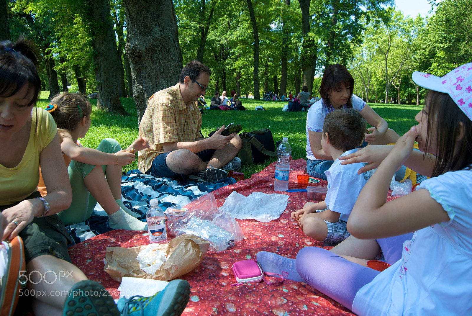 Nikon D60 sample photo. Version photography