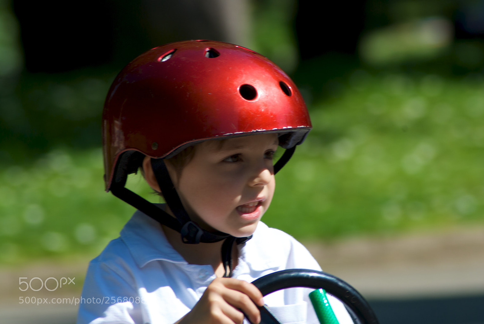 Nikon D60 sample photo. Version photography
