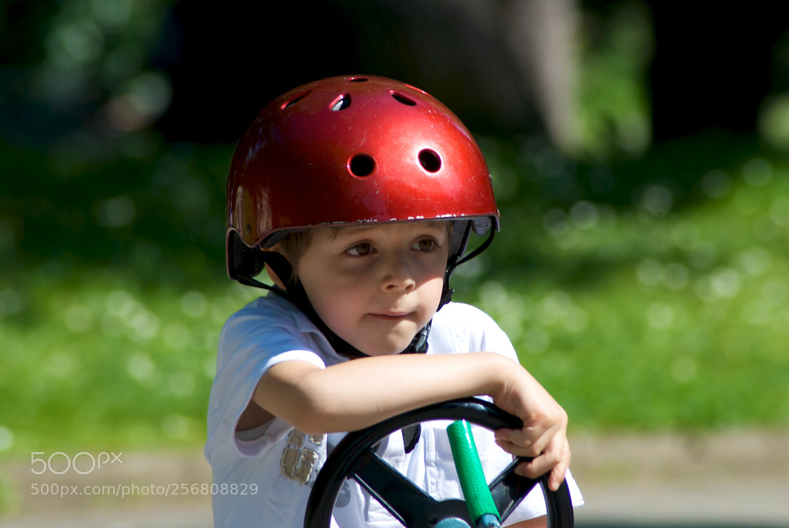 Nikon D60 sample photo. Version photography
