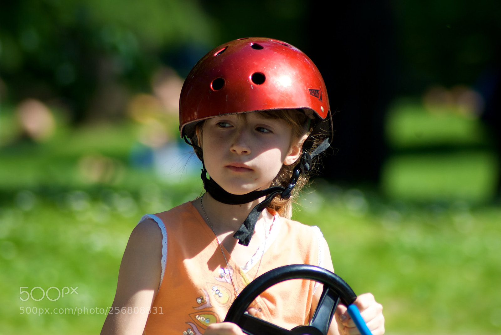 Nikon D60 sample photo. Version photography