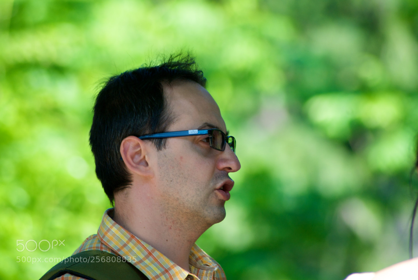 Nikon D60 sample photo. Version photography