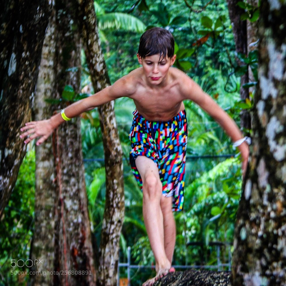 Canon EOS 80D sample photo. Junglegeorge photography