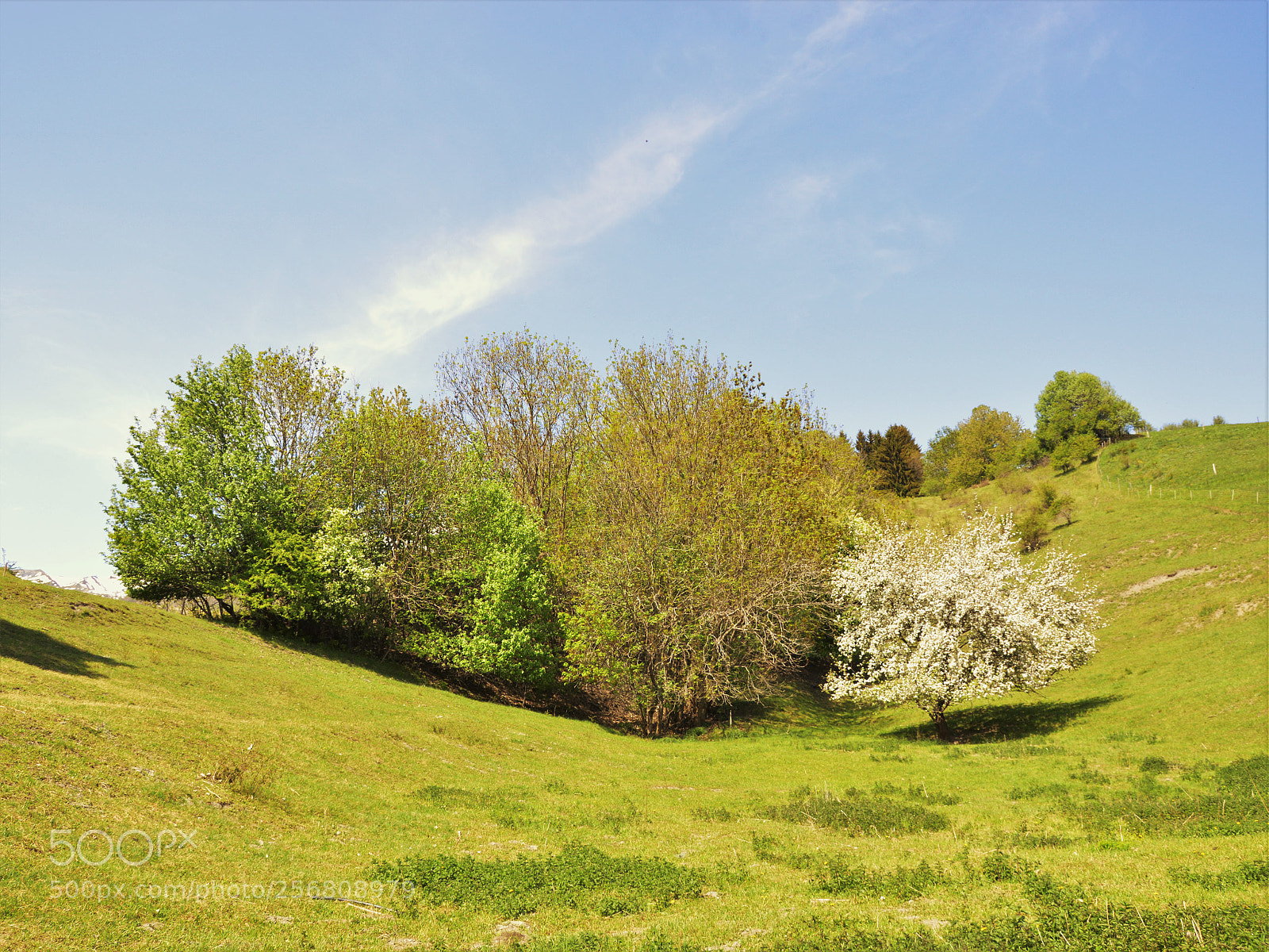 Nikon D3200 sample photo. Untitled photography