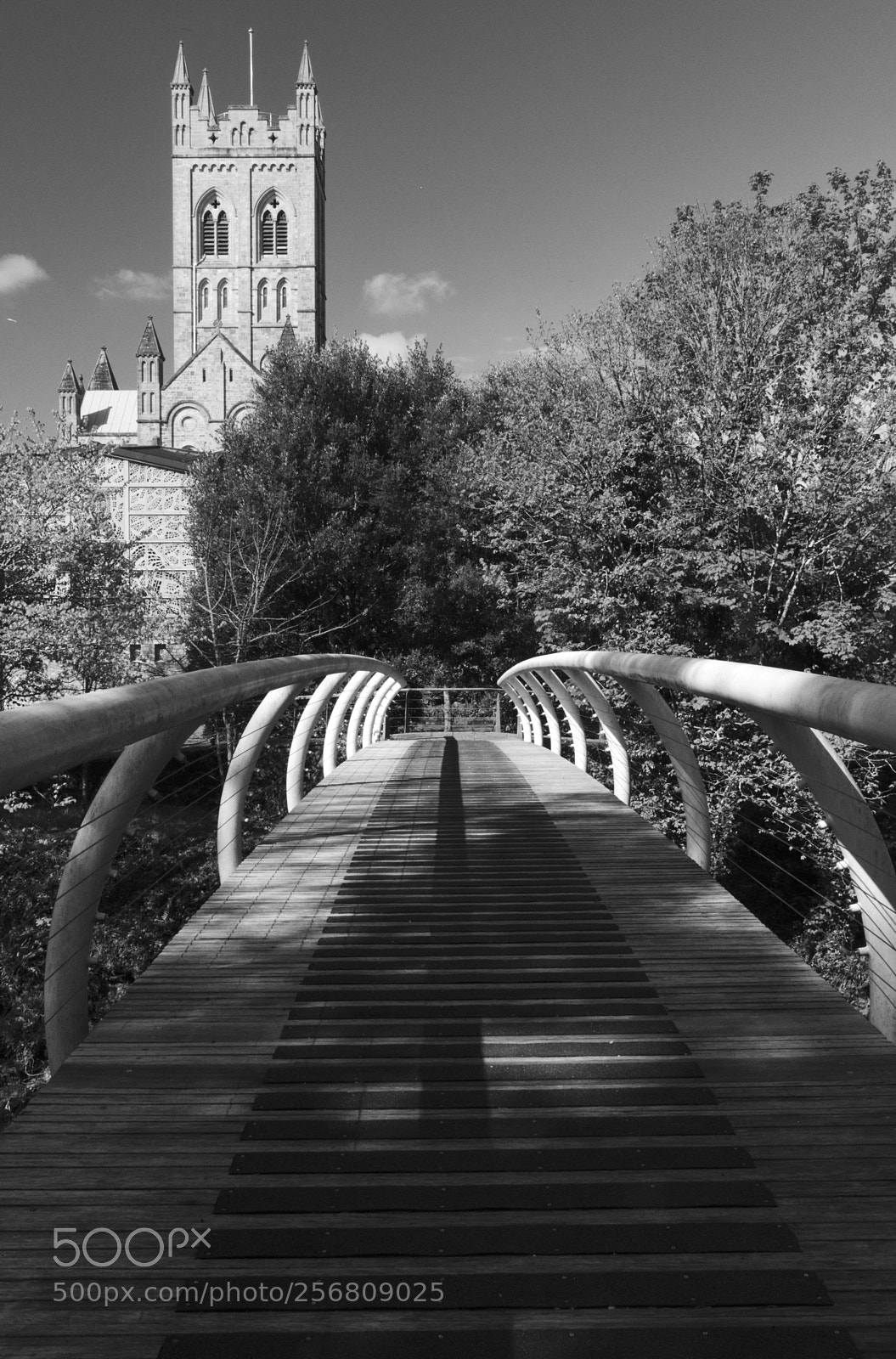 Nikon D7200 sample photo. Buckfast bridge photography