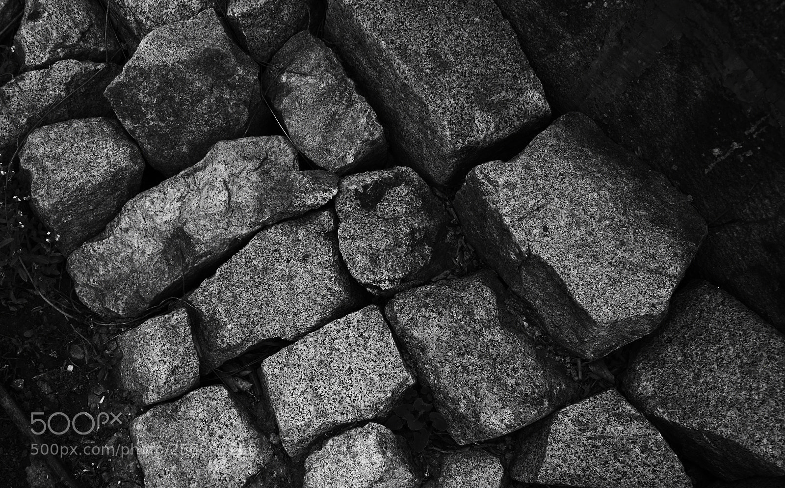 Nikon D5600 sample photo. Textures photography