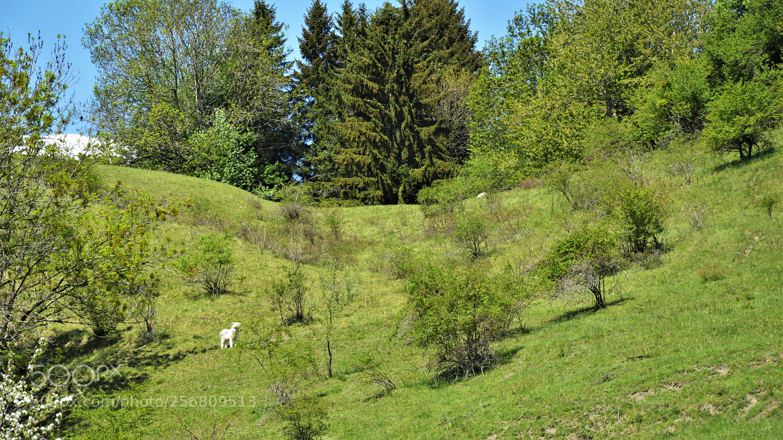Nikon D3200 sample photo. Untitled photography