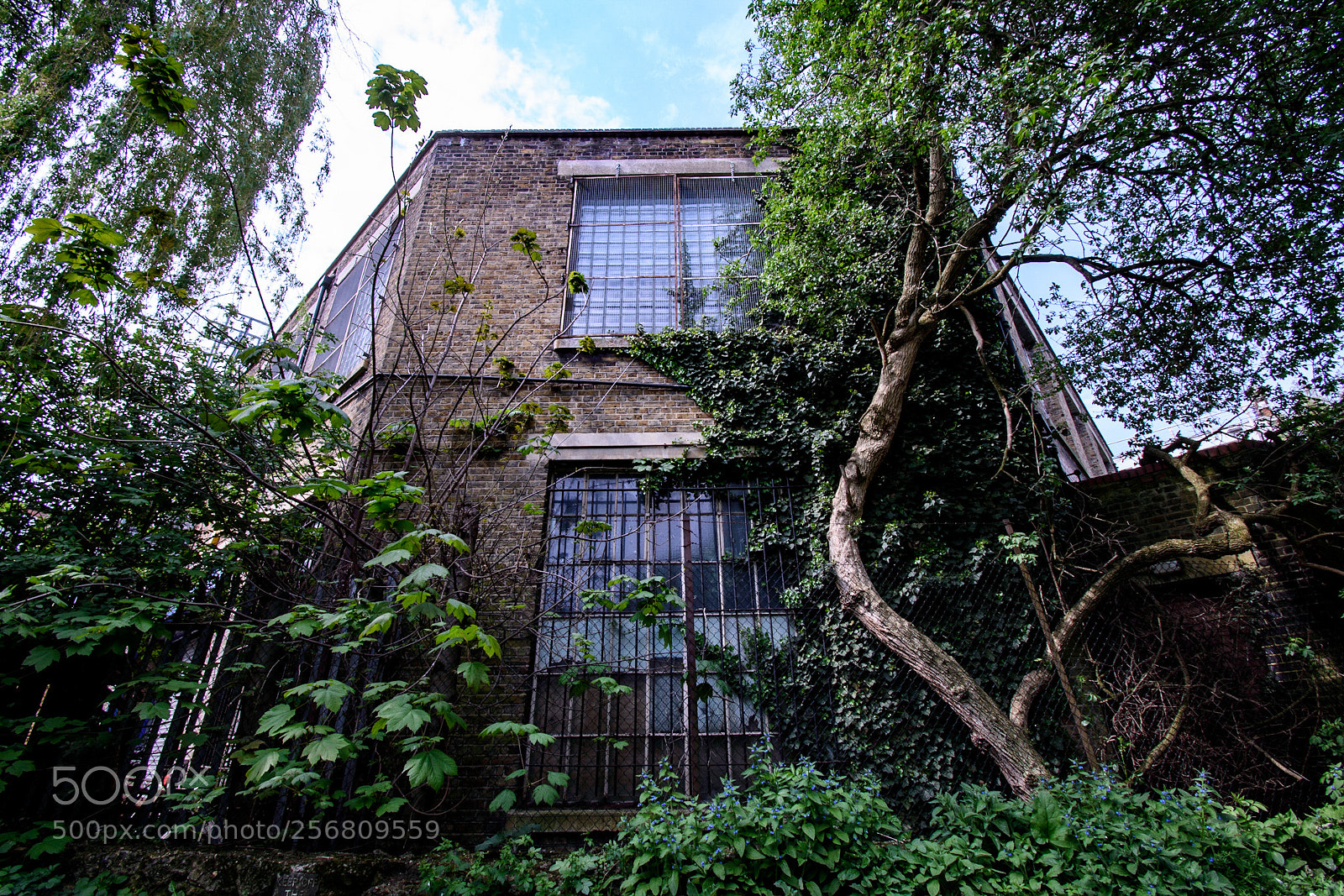 Nikon D3400 sample photo. Abandoned london photography