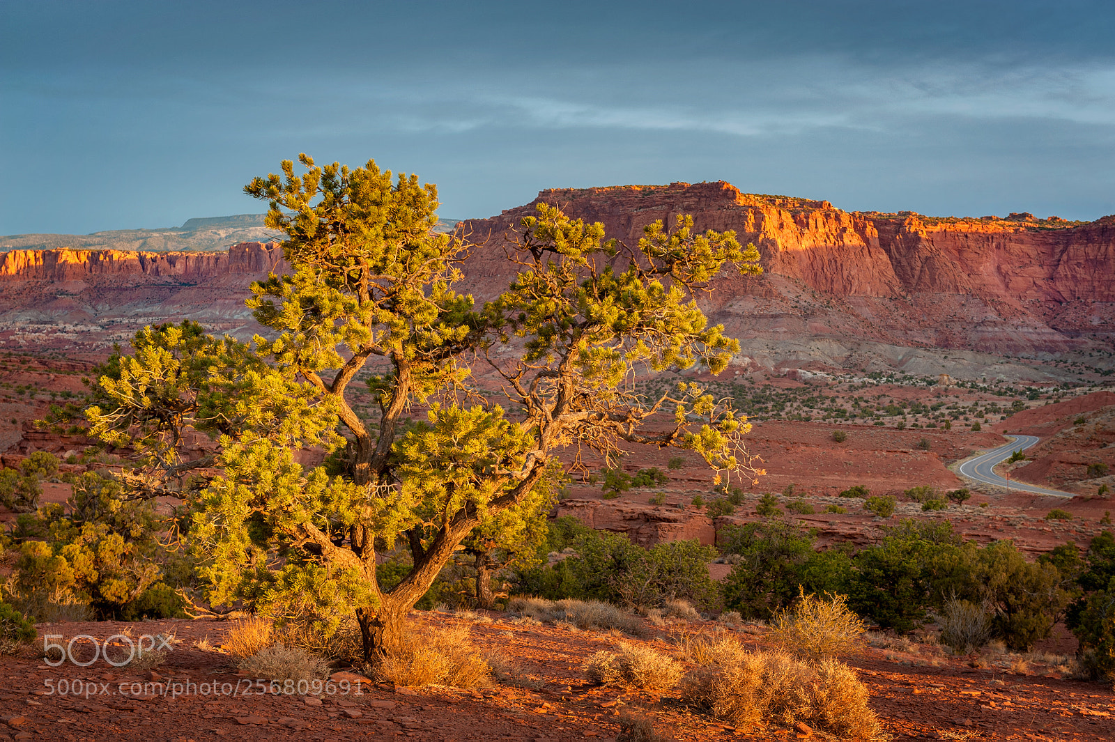 Nikon D700 sample photo. Sunrise at capitol reef photography