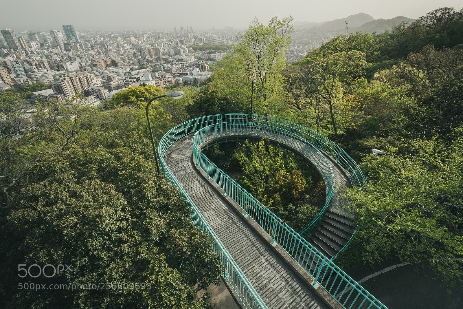 Nikon D7500 sample photo. P photography