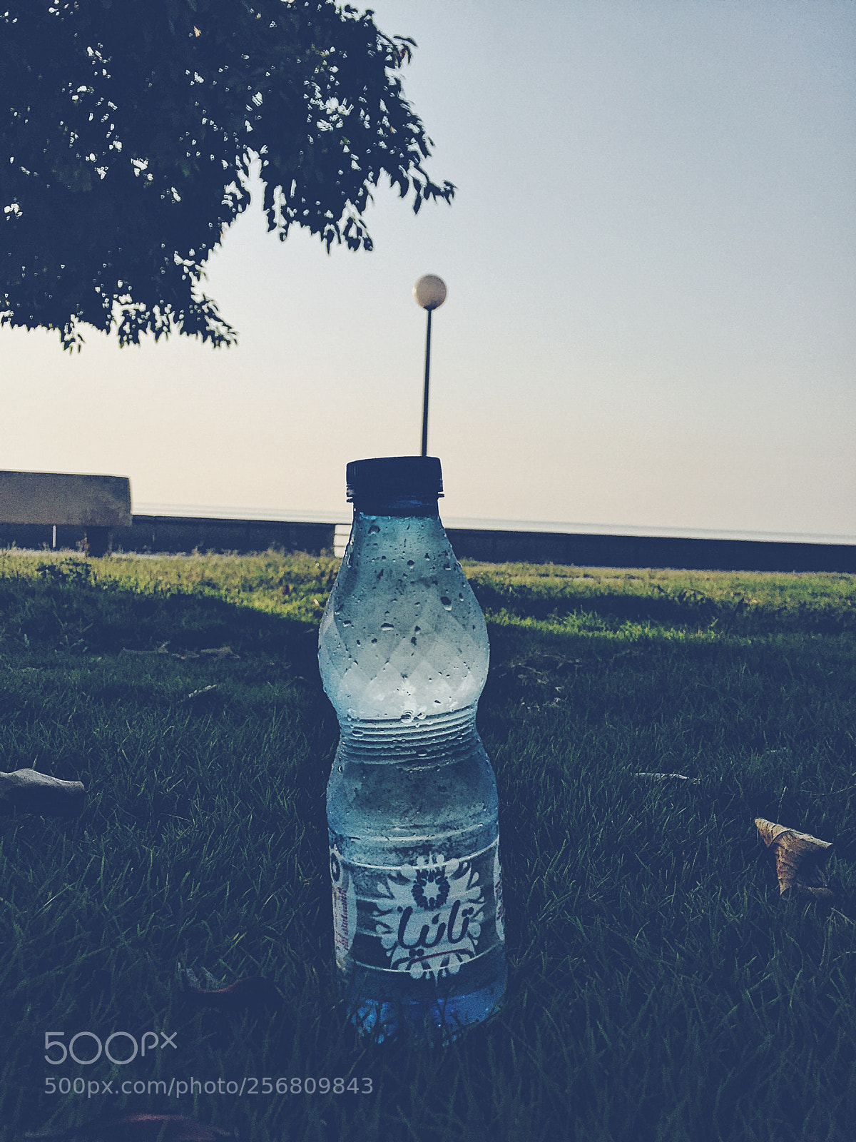 Apple iPhone 6 sample photo. Untitled photography