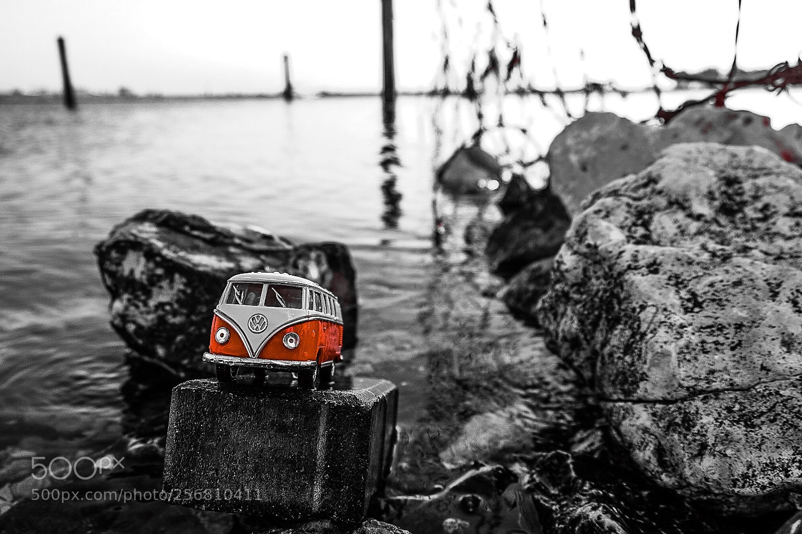 Fujifilm X-T2 sample photo. Untitled photography