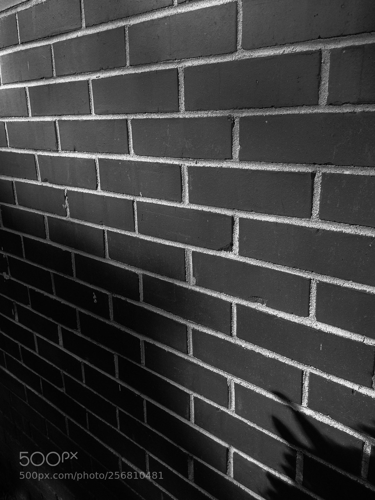 Apple iPhone 5s sample photo. B&w brickwall photography