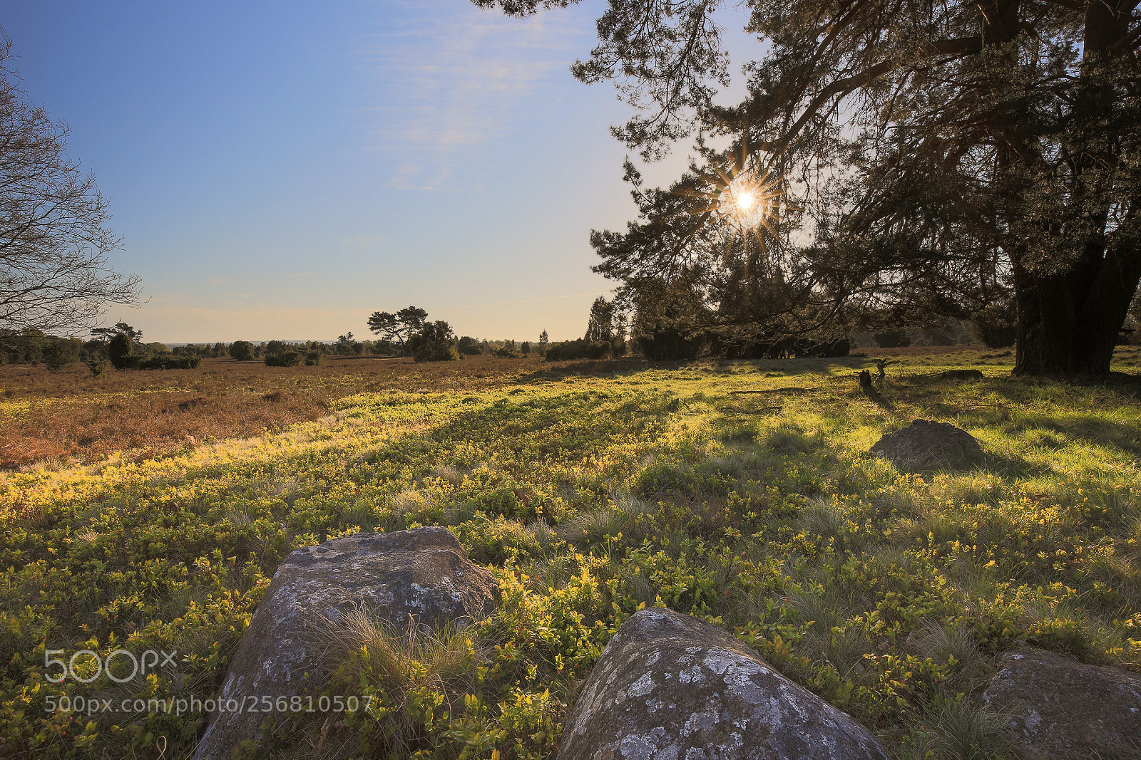 Canon EOS 5D Mark IV sample photo. Morgenstimmung in der l photography