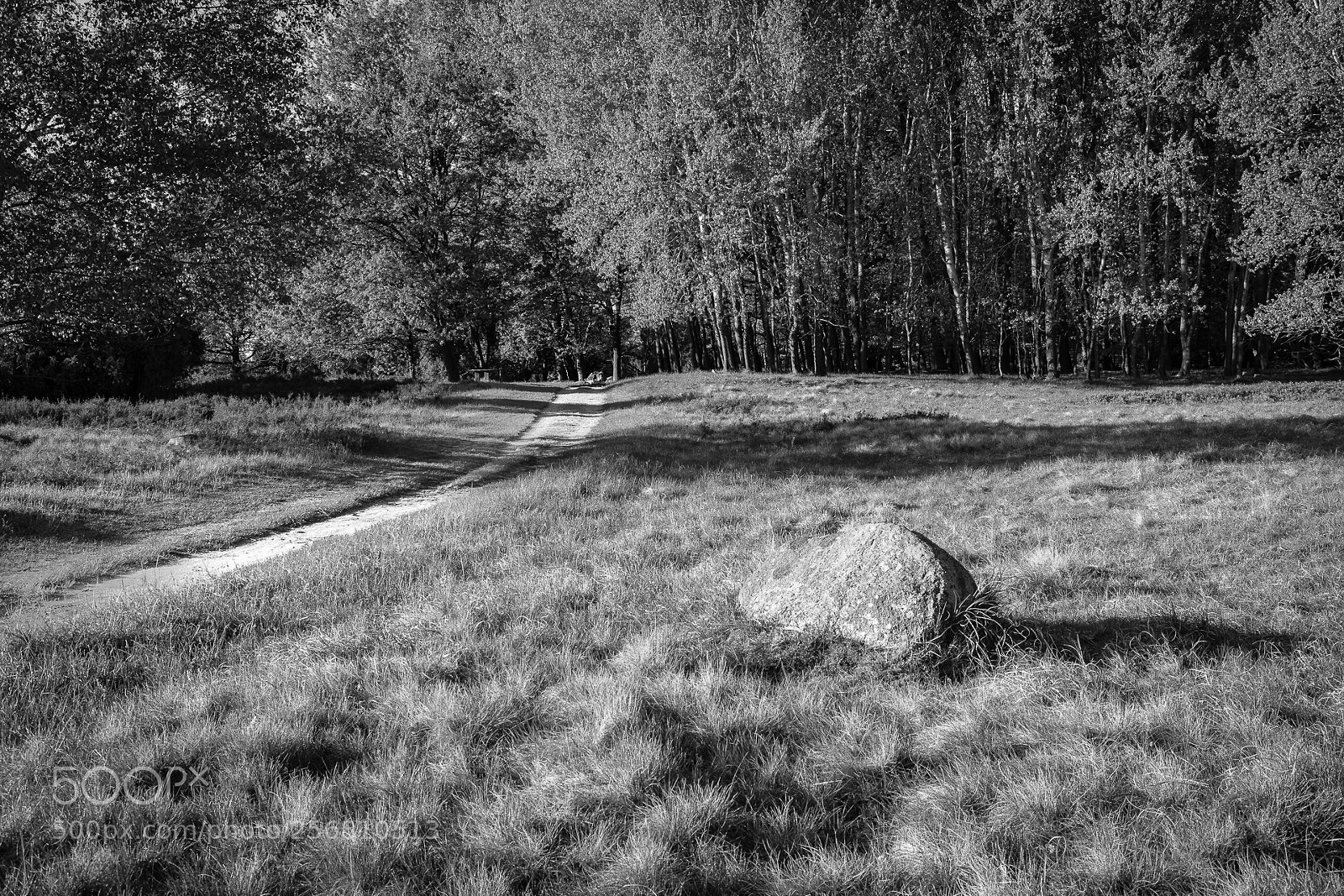 Canon EOS 5D Mark IV sample photo. Heidepfad zum totengrund photography
