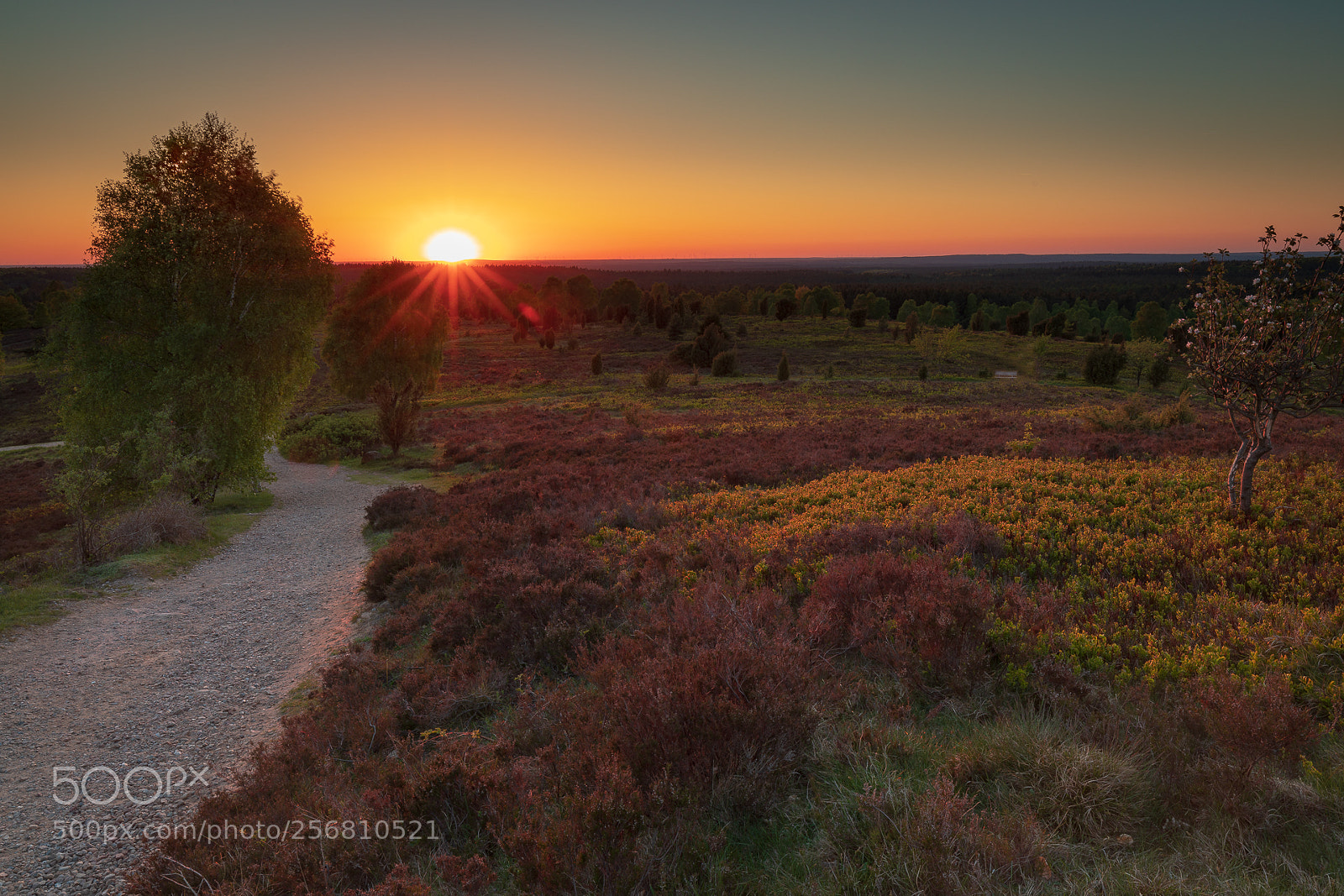 Canon EOS 5D Mark IV sample photo. Sonnenuntergang am wilseder berg photography