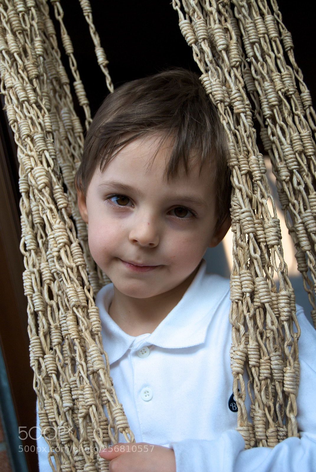 Nikon D60 sample photo. Version photography