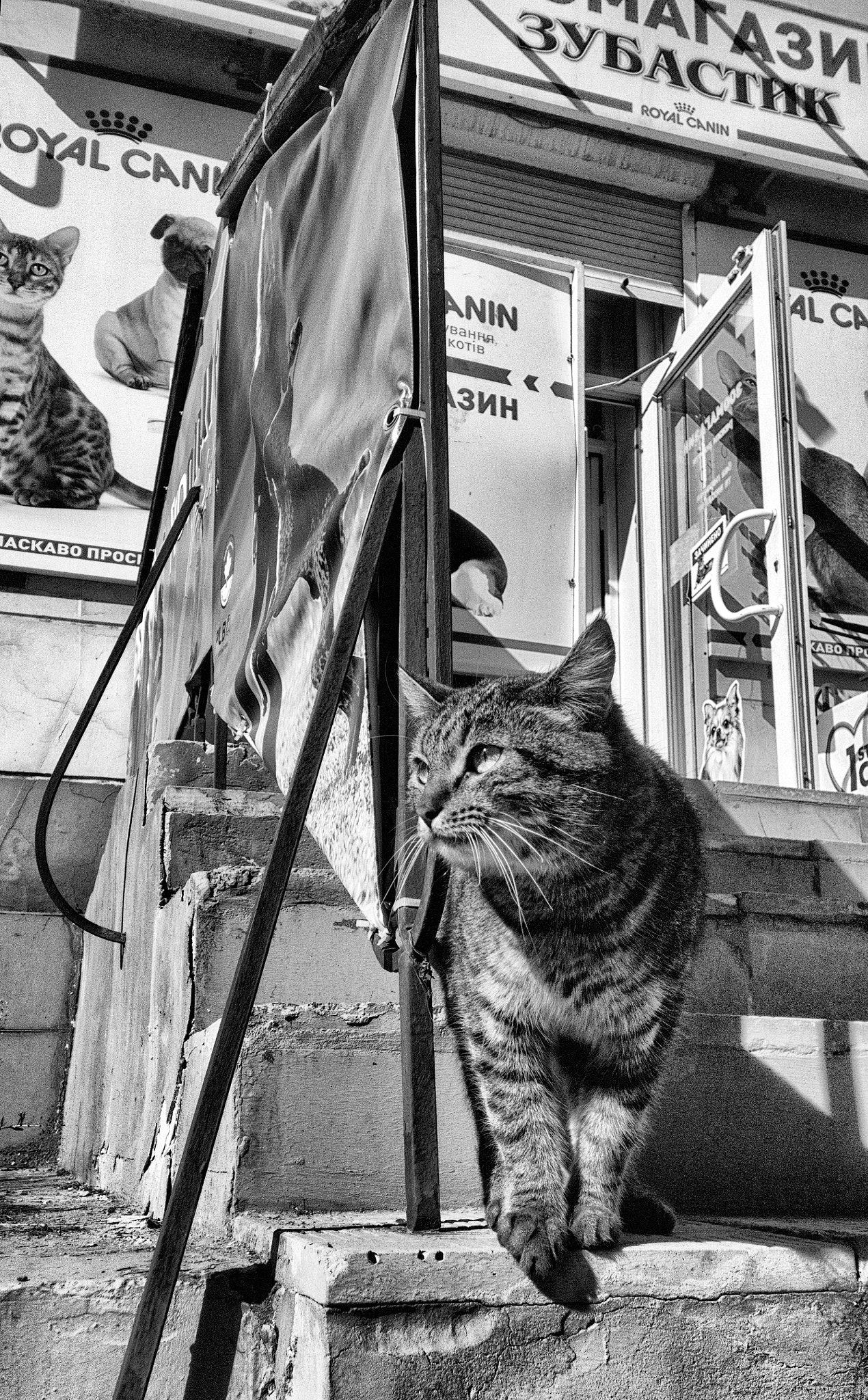 Nokia Lumia 1520 sample photo. Shopping photography