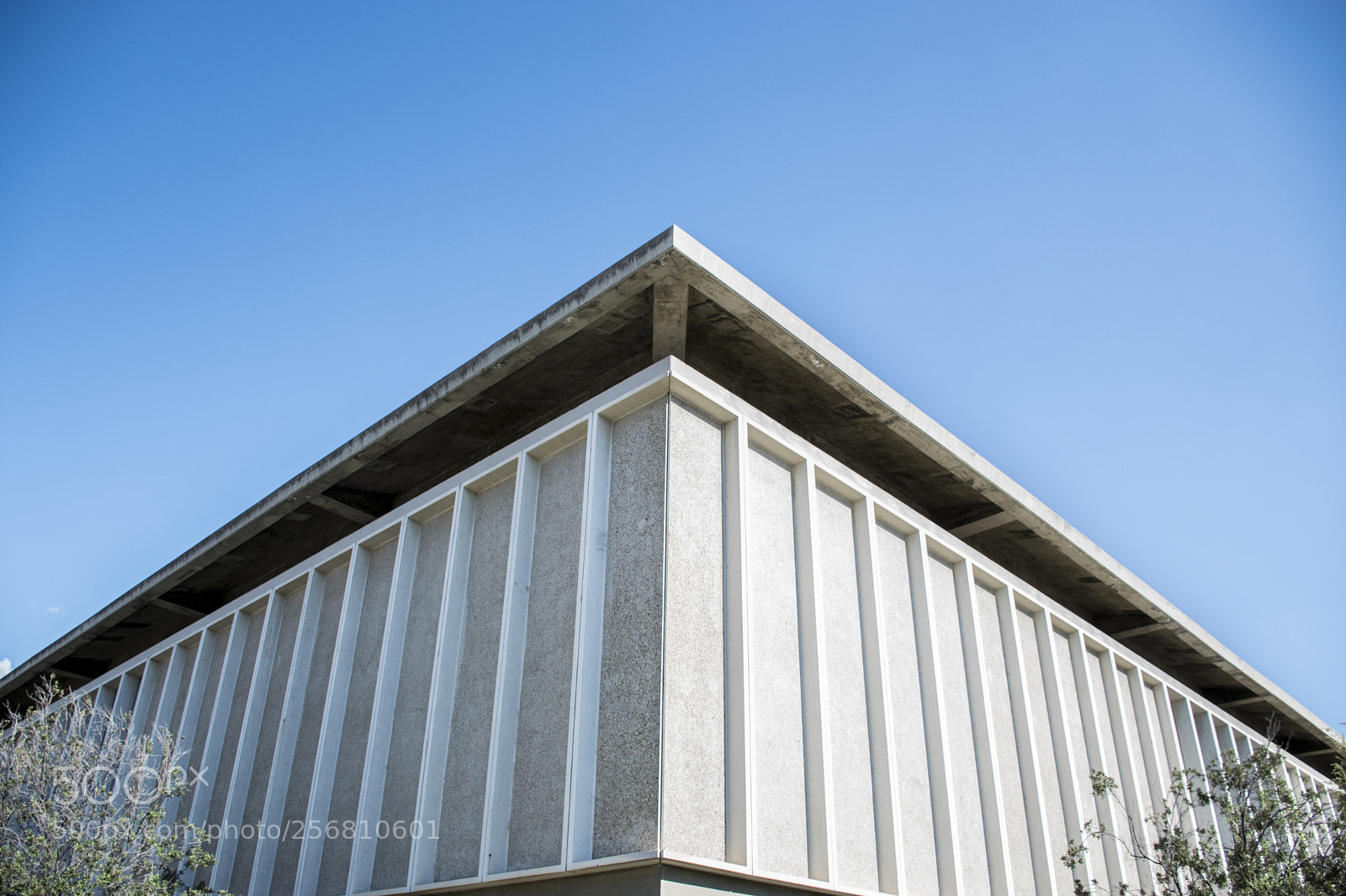 Nikon D5500 sample photo. Redlands library photography
