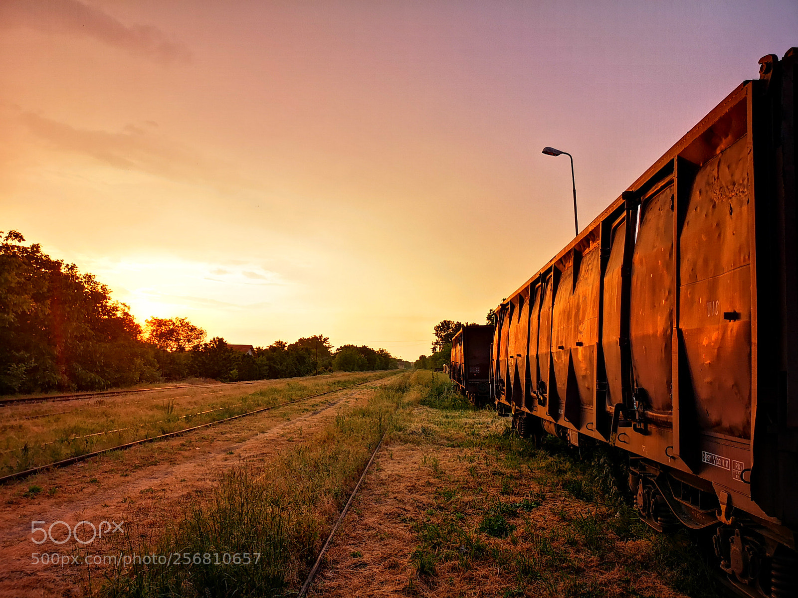 HUAWEI CLT-L29 sample photo. Sleeping trains photography