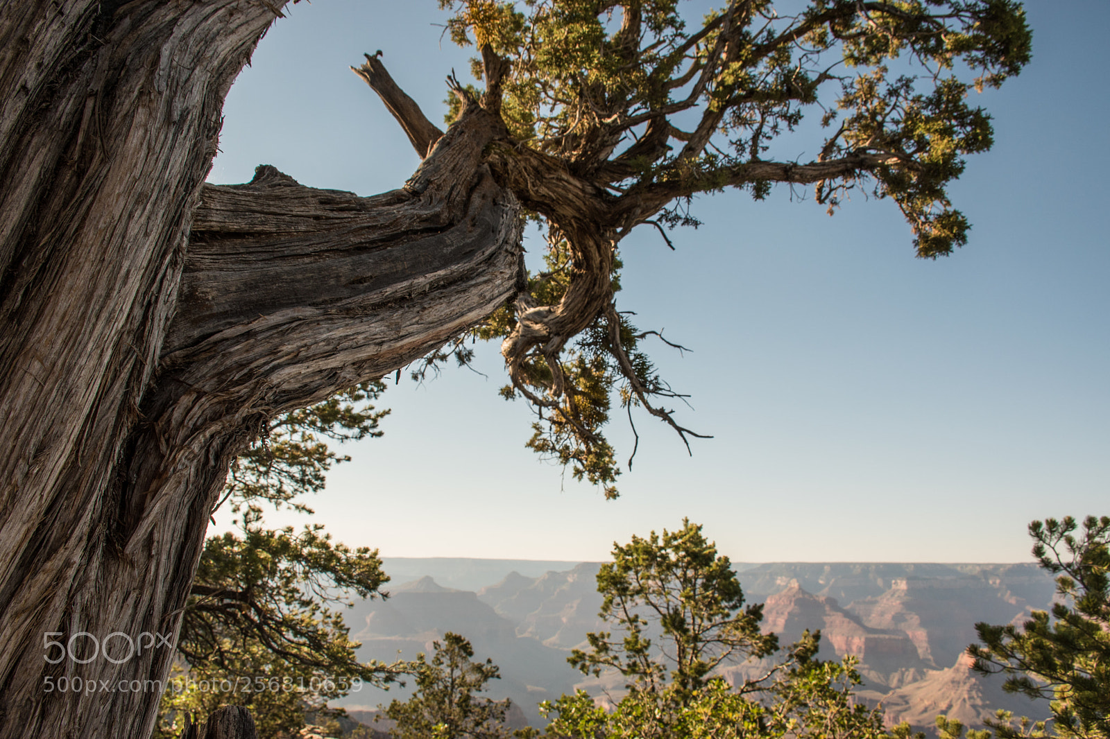 Nikon D5500 sample photo. Grand canyon photography