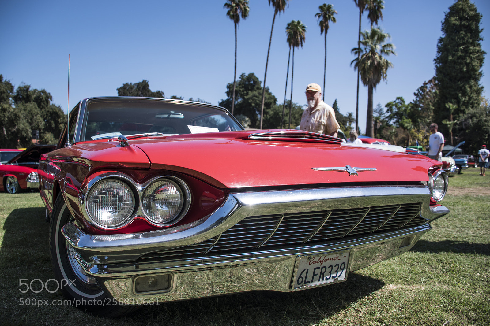 Nikon D5500 sample photo. Veterans car show photography