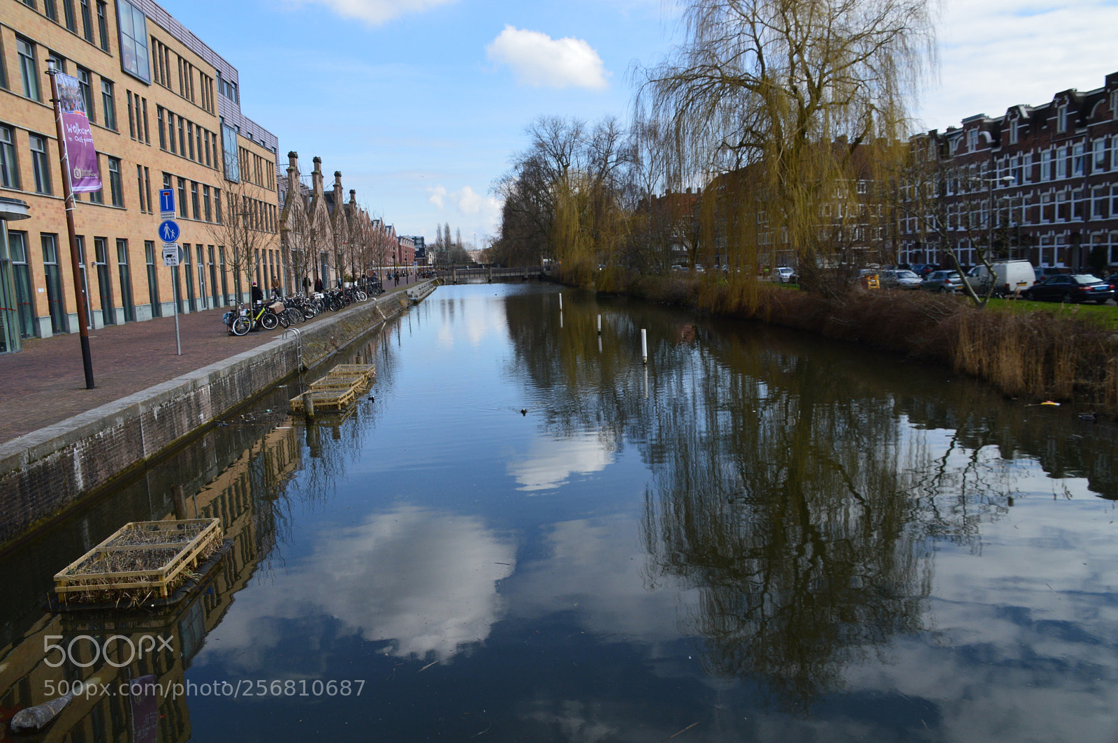 Nikon D3200 sample photo. Untitled photography