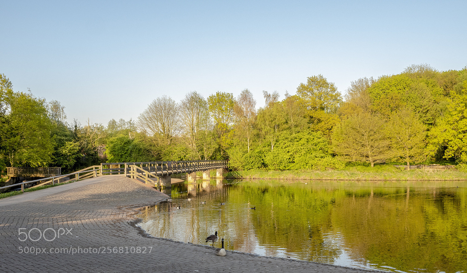 Olympus PEN-F sample photo. The bridge at rufford photography